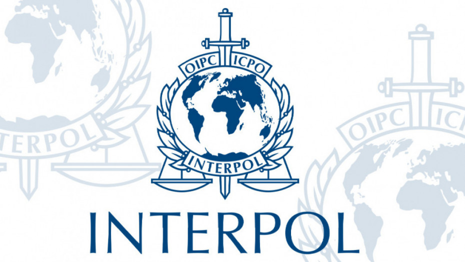 Interpol: Uhapšeno 20 osoba u 12 zemalja zbog posedovanja dečje pornografije