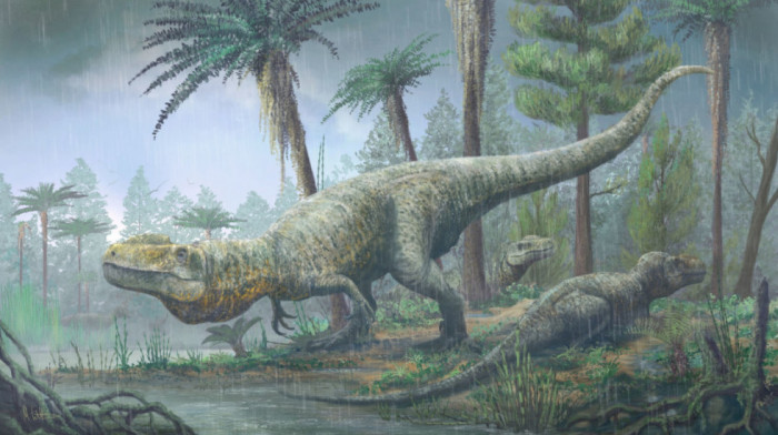 Tajne iz doba jure: Otkriveno više od 130 otisaka stopala dinosaurusa na ostrvu Skaj u Velikoj Britaniji