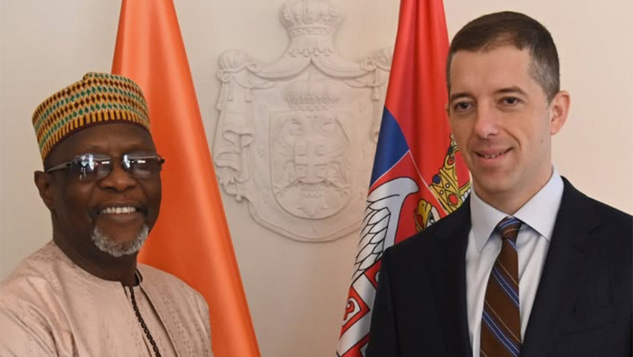 Đurić sa ministrom spoljnih poslova Nigera o jačanju saradnje u oblasti obrazovanja