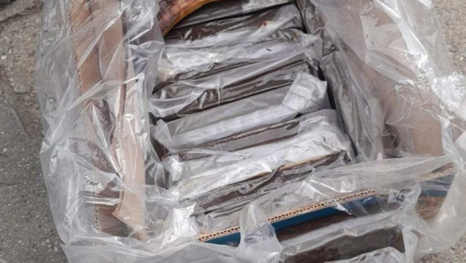 Zaplenjeno 15 kilograma kokaina u Novom Sadu: Droga pronađena u skladištu, bila skrivena u kutijama sa bananama