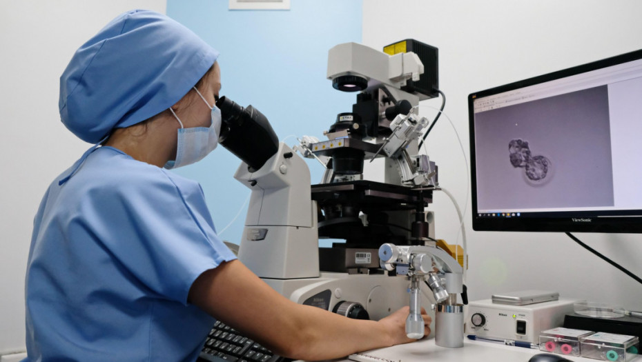 Podmlađivanje jajnih ćelija nada u uspeh vantelesne oplodnje i kod starijih