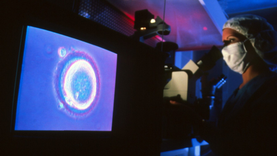 IVF Centar: Oko 90 odsto žena nije imalo nikakav kontakt sa klinikom nakon negativnog rezultata vantelesne oplodnje