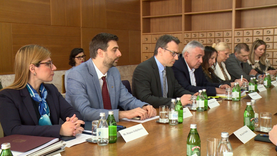 Petković sa Sorensenom o pitanjima važnim za život srpskog naroda na Kosovu i Metohiji