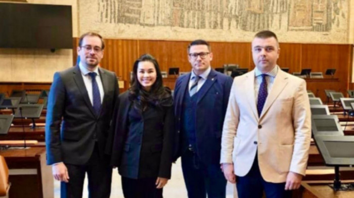 Srpska liga u Skupštini Vojvodine ugostila poslanike Alternative za Nemačku