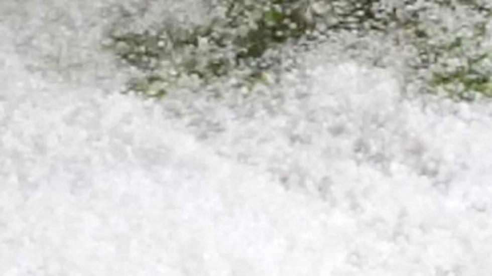 Nevreme praćeno gradom zahvatilo sela kod Prijepolja, velika šteta na malinjacima