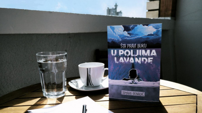 Roman koji suočava sa potisnutim pitanjima: Šta pravi buku u poljima lavande?