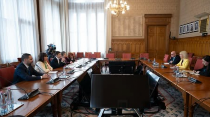 Brnabić sa predsednicom kiparskog parlamenta o stabilnosti, miru i saradnji