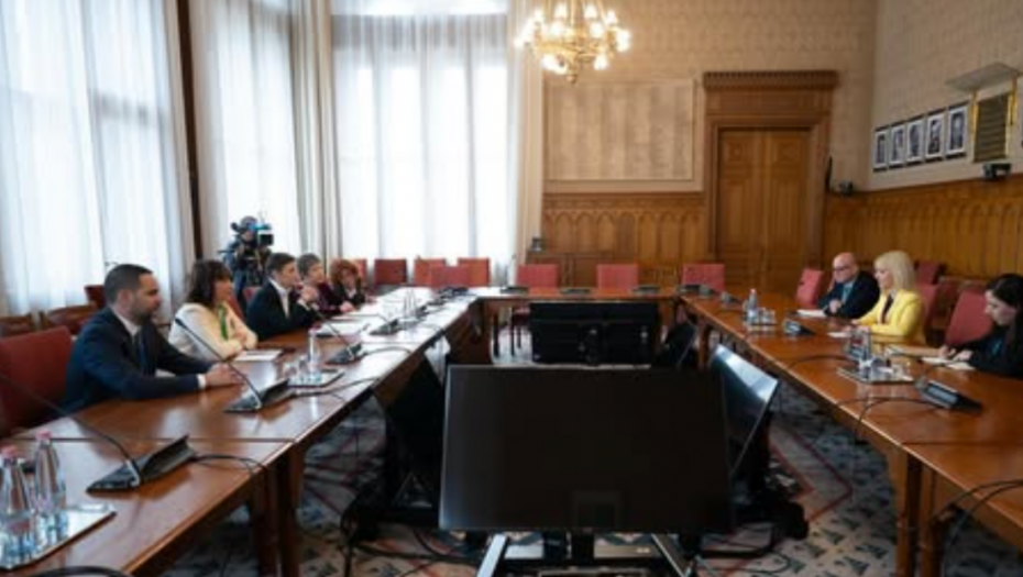 Brnabić sa predsednicom kiparskog parlamenta o stabilnosti, miru i saradnji