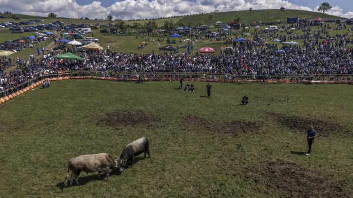Predsednik Odbora za zaštitu prava Srba u Federaciji BiH: Srbima bespravno zauzeta zemlja u FBiH
