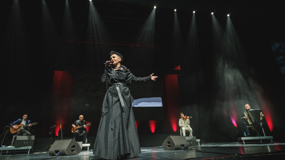 Amira Medunjanin 22. novembra u Sava centru, album "Homeland" i na vinilu