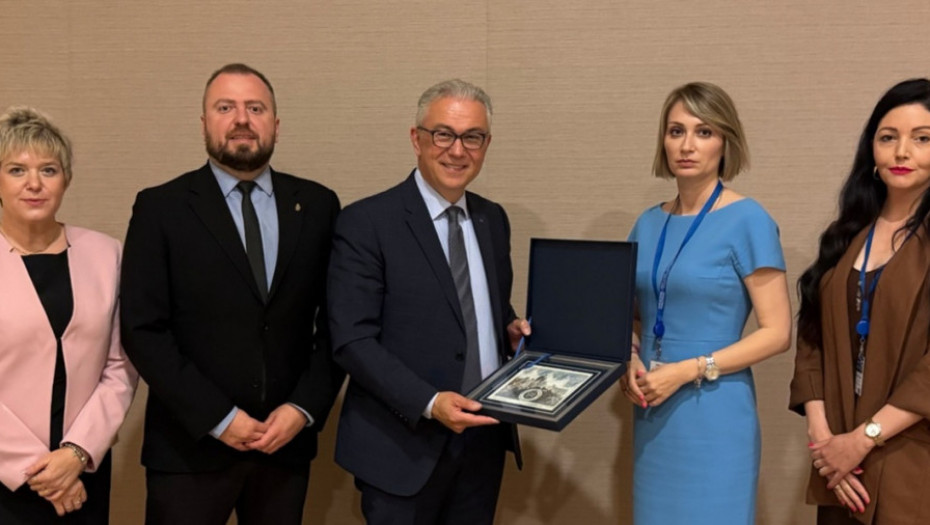 Delegacija Srbije sa predsednikom PSSE: Odložiti odluku o statusu Prištine kao specijalnog gosta