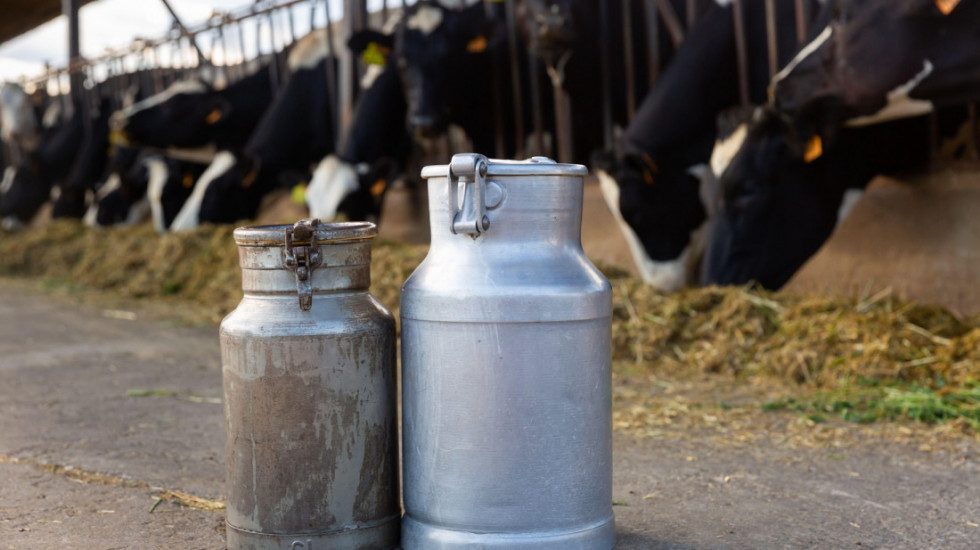 Ministarstvo poljoprivrede o vanrednoj kontroli: Nema zloupotreba mleka u prahu u UHT mleku kod tri proizvođača