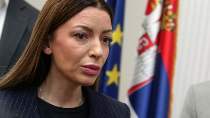 Mesarović: Rokvić pokazala da su laž, uvrede i nasilje jedina politika opozicije