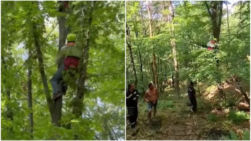MUP: Vatrogasci spasili paraglajderistu koji je zbog vetra pao i ostao zaglavljen u krošnji  15 metara  visokog drveta