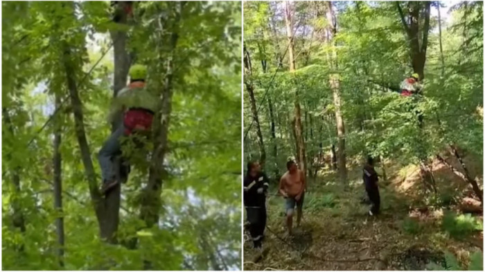 MUP: Vatrogasci spasili paraglajderistu koji je zbog vetra pao i ostao zaglavljen u krošnji  15 metara  visokog drveta