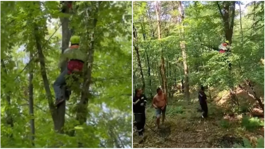 MUP: Vatrogasci spasili paraglajderistu koji je zbog vetra pao i ostao zaglavljen u krošnji 15 metara visokog drveta