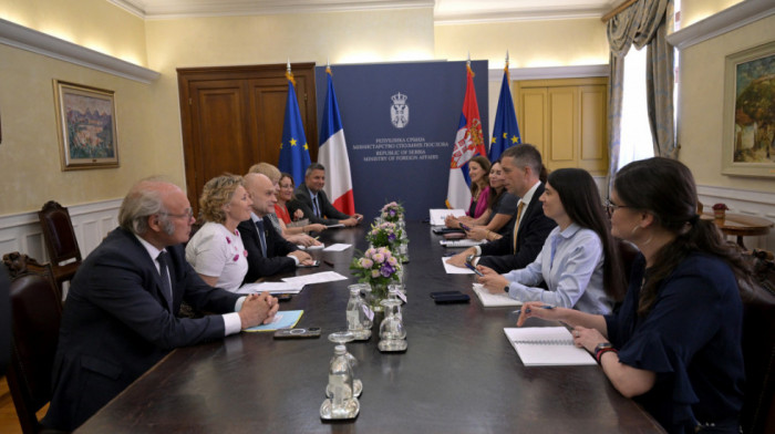 Đurić razgovarao sa delegacijom francuskih poslanika o saradnji i situaciji na AP KiM