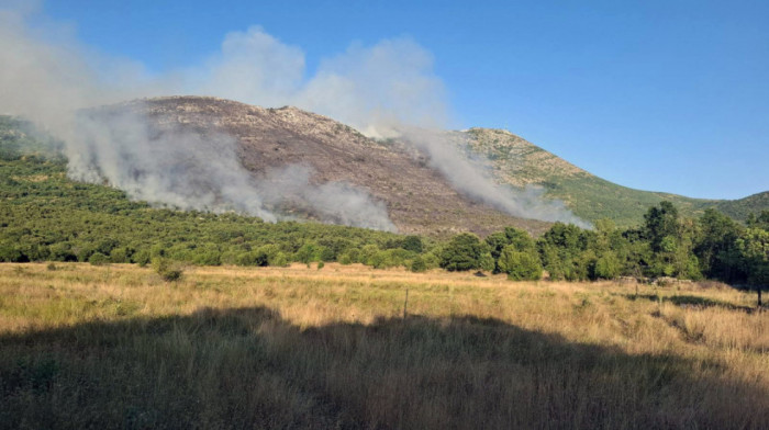 Požar u selu Trebijovi kod Trebinja i dalje aktivan, ugrožene kuće