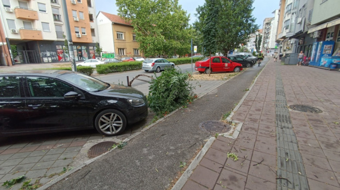 Jak vetar u Novom Sadu oborio drvo, povređene žena i devojčica, oštećeni automobili širom grada