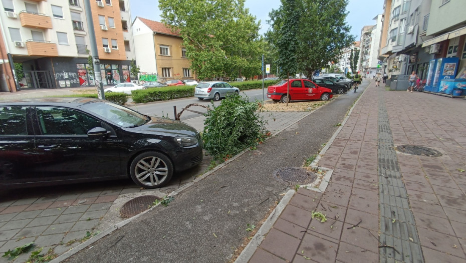 Jak vetar u Novom Sadu oborio drvo, povređene žena i devojčica, oštećeni automobili širom grada