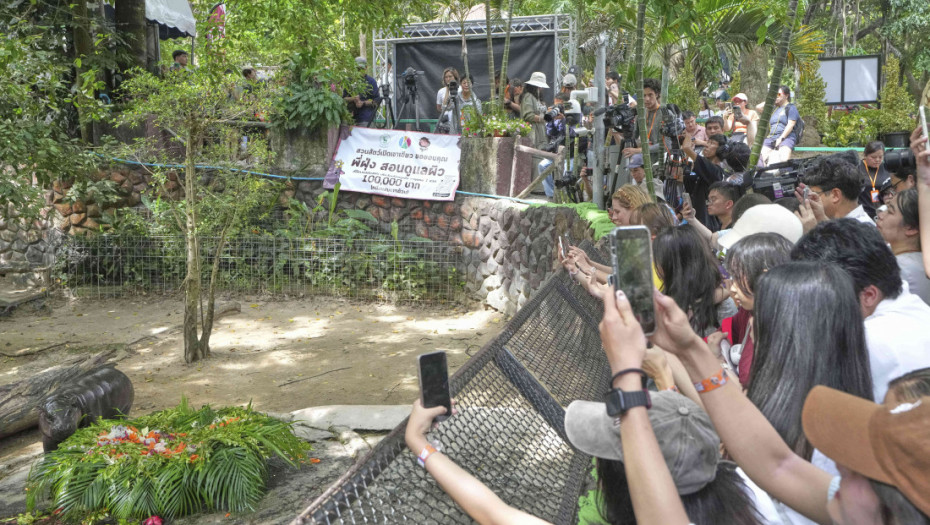 Nepažnja bez većih posledica: Dete lakše povređeno nakon prilaska vukovima u zoo-vrtu u Pensilvaniji