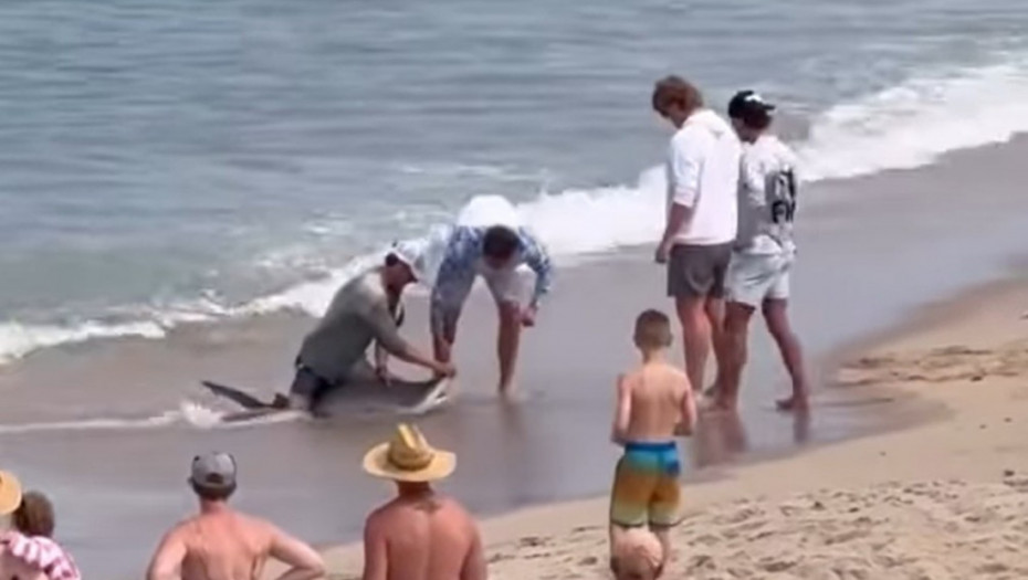 Snimak rvanja sa ajkulom na plaži: Ribolovac pokušao da je odvuče, pa doživeo bolno iznenađenje