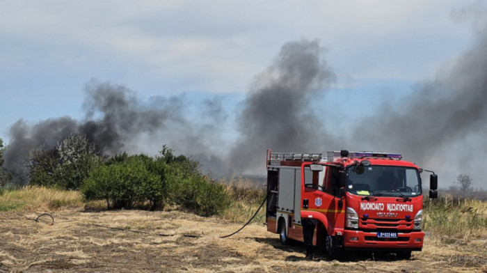 Požar u Batajnici: Vatra zahvatila nisko rastinje, izgorelo oko 20 hektara zemlja