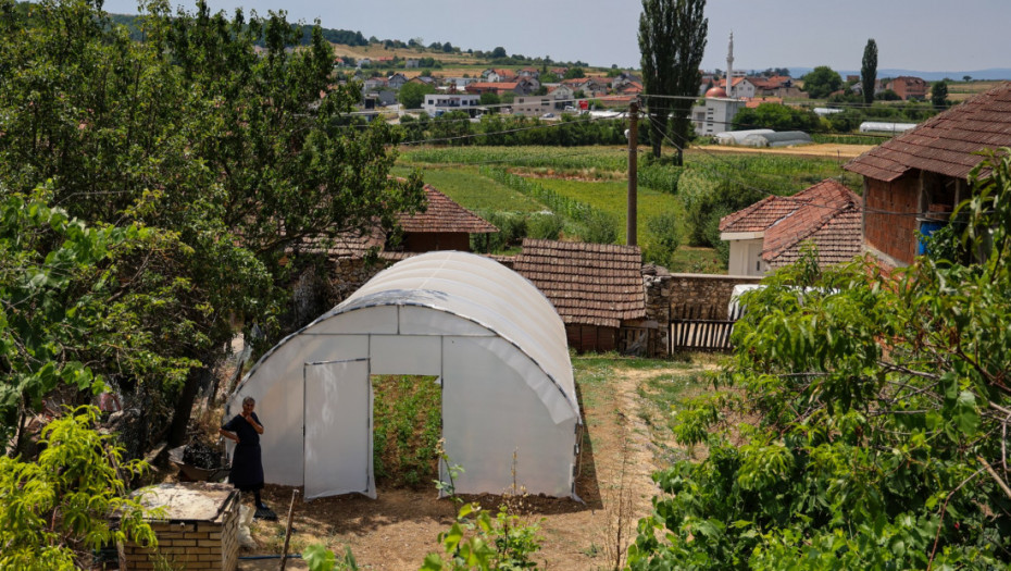 Gujon: Završili smo podelu 154 stočna grla i 75 plastenika vrednim porodicama na Kosovu i Metohiji