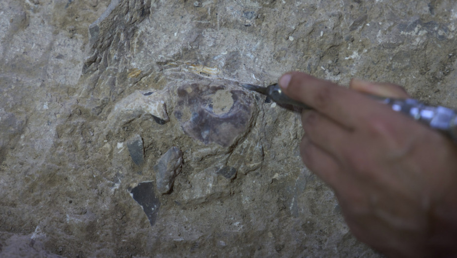 Neovlašćeno iskopavao arheološke predmete kod Inđije: Policija oduzela deset metal-detektora i veliki broj artefakata