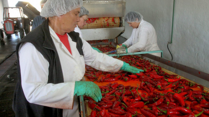 Izvoz Srbije u prvih devet meseci veći za 8,9 odsto, uvoz za 8,2 odsto nego pre godinu dana