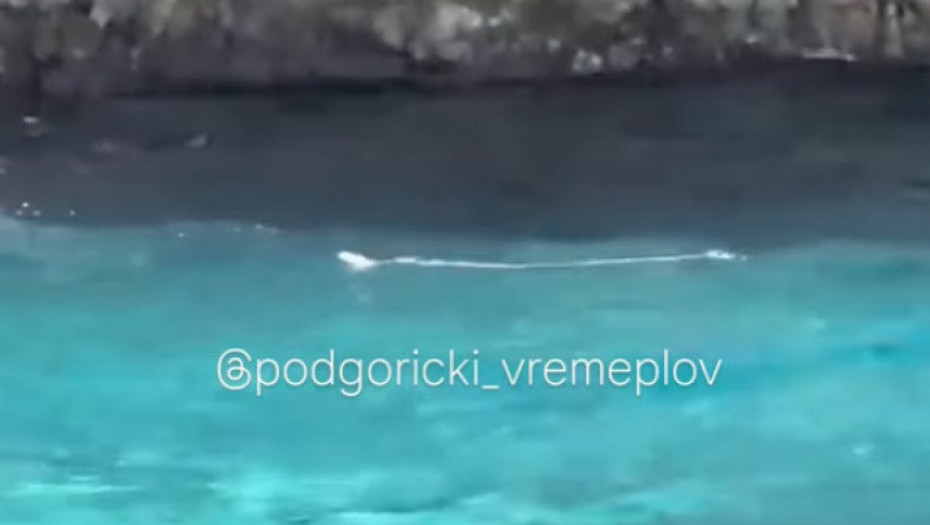 "Ja više u vodu ne bih kročio": Snimak iz Herceg Novog prepao kupače, niko ne bi želeo ovakav bliski susret (VIDEO)
