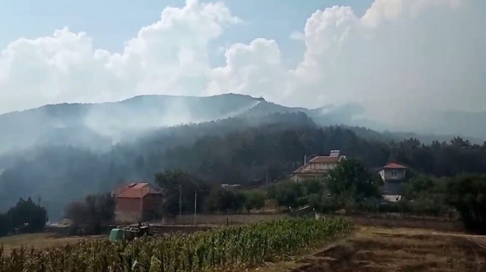 Požar kod Vranja se širi: Vatra iz Lukova krenula ka Bareliću, gori i Srednji Del