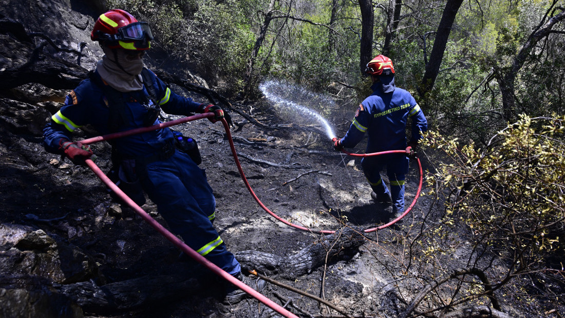 Borba sa požarom na Peloponezu, vatra se brzo širi pod uticajem jakih vetrova