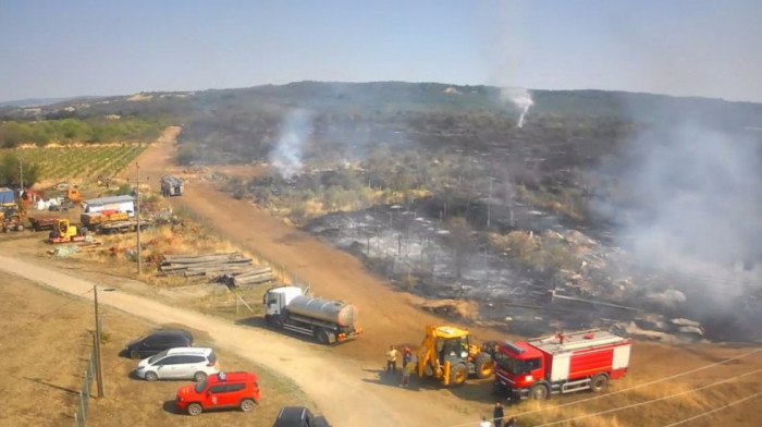"Zahvaćeno više od 100 hektara trave i rastinja": Oko 50 vatrogasaca angažovano na gašenju požara kod Kladova (FOTO)