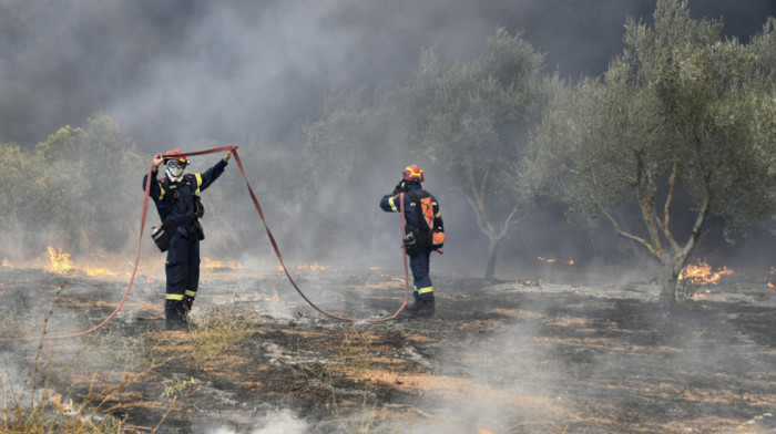 Rumunski vatrogasci stigli u Grčku: U toku je borba sa požarima oko Megare