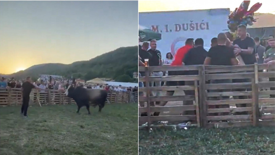 Tuča na borbi bikova u BiH: Izbio haos u publici oko novca za opklade (VIDEO)