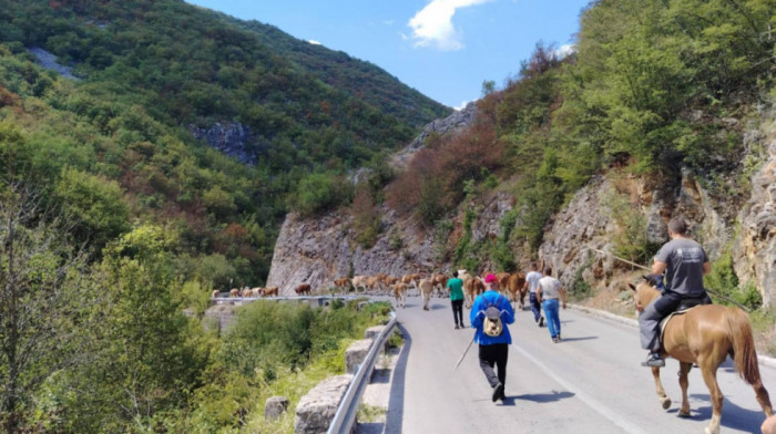 Stočari sa Suve planine blokirali put zbog nedostatka vode za stoku, ponovo presušio izvor Rakoš
