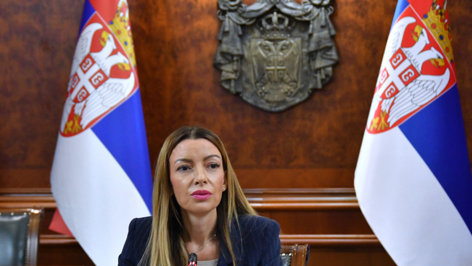 Mesarović o incidentima u Novom Sadu: Građani Srbije neće dozvoliti da nam ti fašisti unište državu