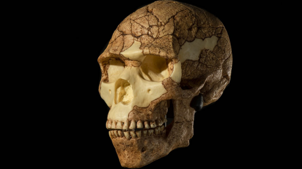 Neandertalci izvodili primitivne stomatološke zahvate: Naučnici analizirali drevni zub iz Sibira