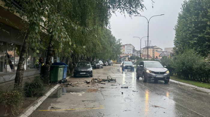 Olujno nevreme zahvatilo Čačak, vetar obarao drveće