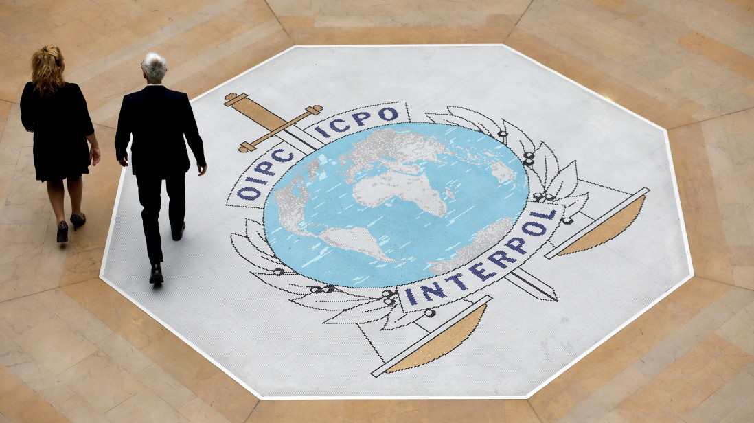 Interpol: Zaplenjeno 30.000 životinja u akciji protiv šverca divlje flore i faune