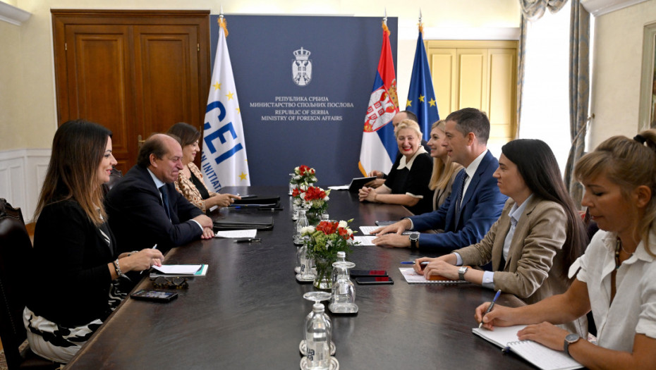 Đurić: Povezivanje regiona prioritet srpskog predsedavanja CEI