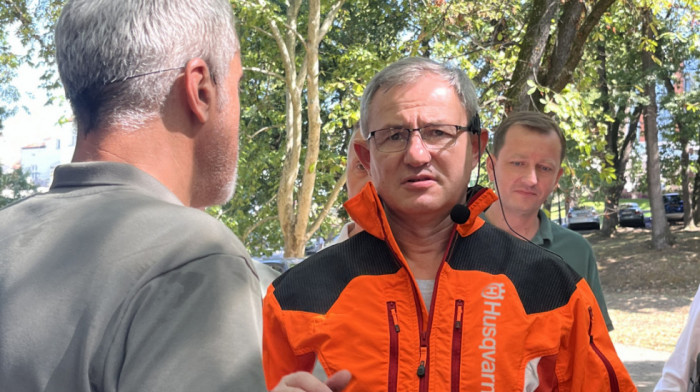 Glamočić: Pošumljenost Srbije u ravni sa evropskim prosekom