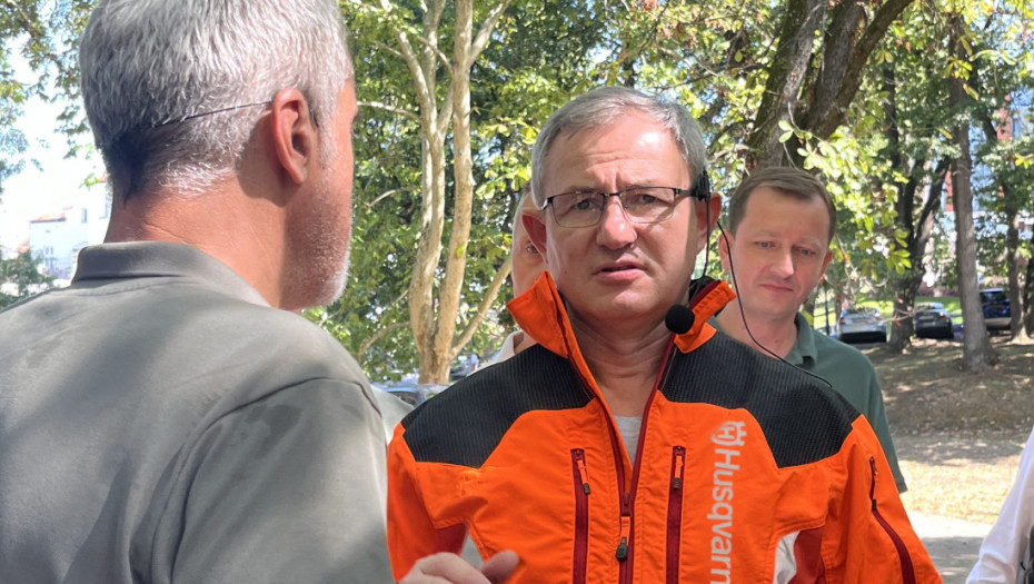 Glamočić: Pošumljenost Srbije u ravni sa evropskim prosekom