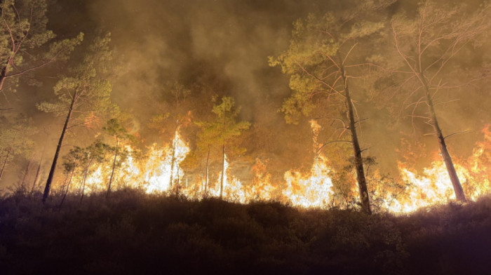 Požar u oblasti Antalije stavljen pod kontrolu, evakuisani gosti iz nekoliko hotela