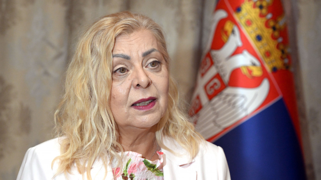 Sofronijević: Mađarska pouzdan partner Srbije u ključnim infrastrukturnim projektima