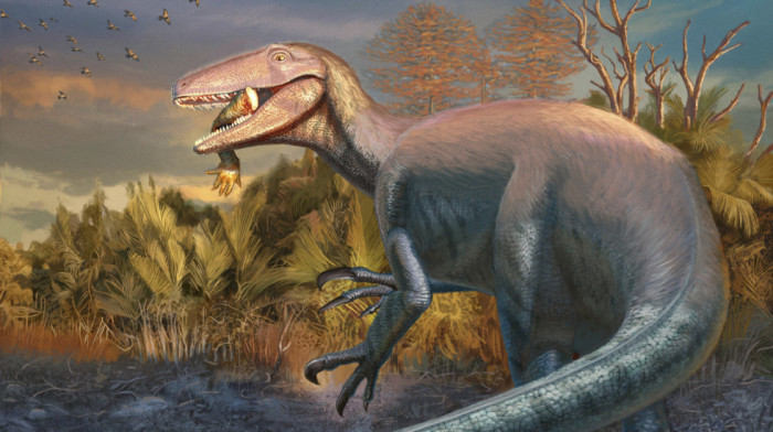 Pronađen fosil nepoznate vrste dinosaurusa sa neočekivanim ostatkom njegovog poslednjeg ručka