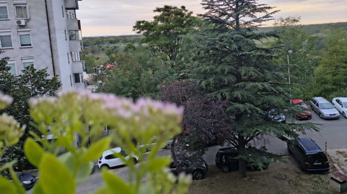 Jesen u punom sjaju: Posle hladnog talasa stižu sunce i temperature do 20°C