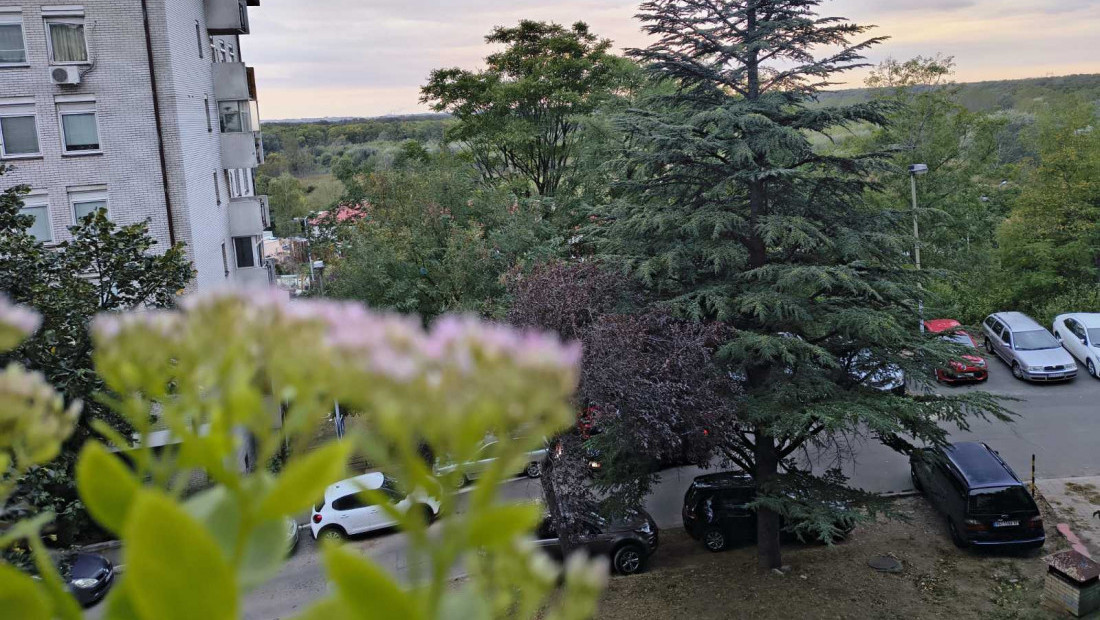 Jesen u punom sjaju: Posle hladnog talasa stižu sunce i temperature do 20°C
