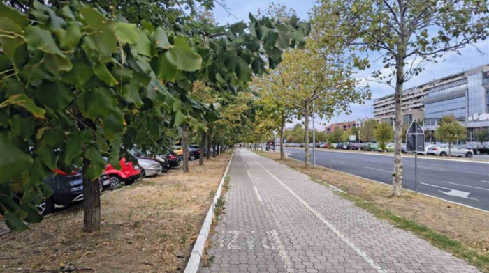 Jesen pokazuje zube već na početku: Za vikend hladno uz jak vetar, a onda nas čeka dalji pad temperature